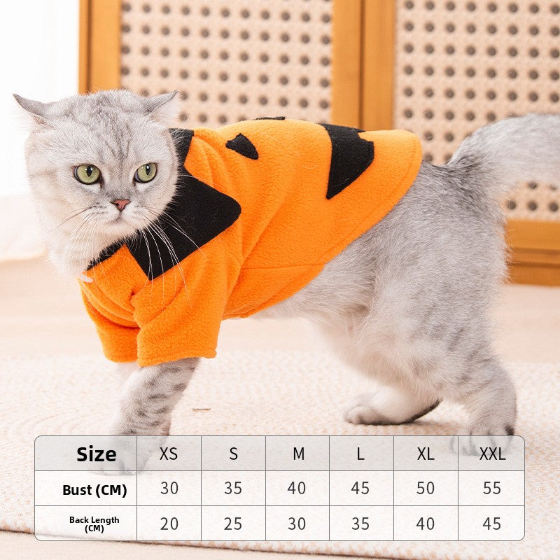 Cozy Pumpkin Halloween Costume for Cats & Small Dogs