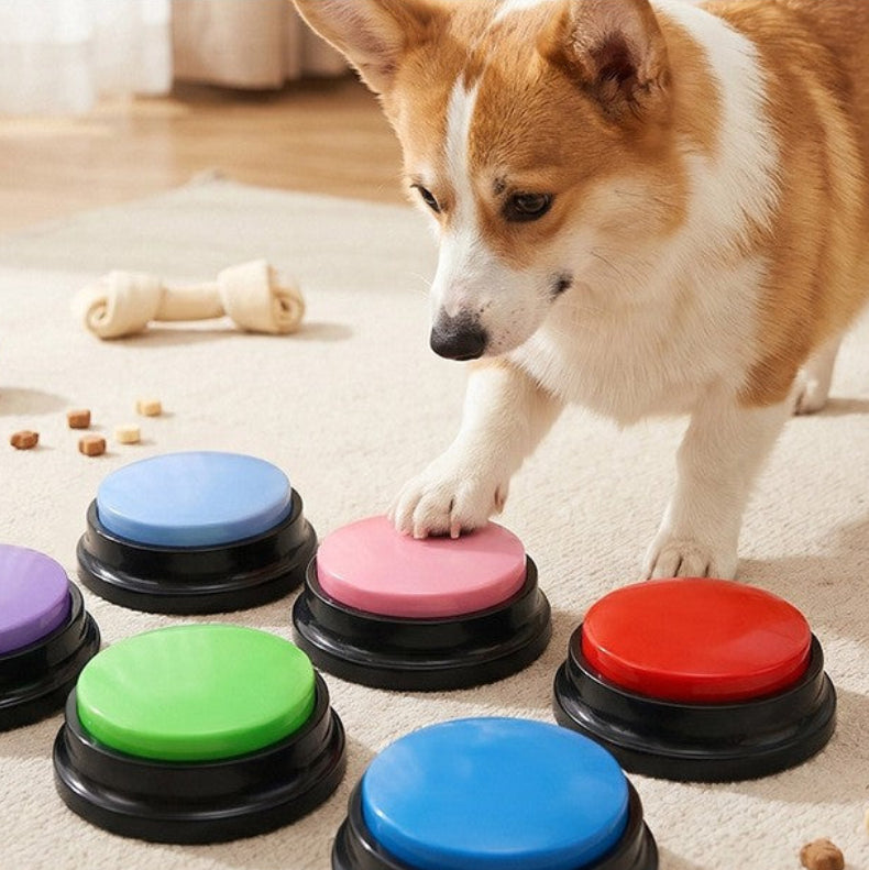 Botón de comunicación para mascotas