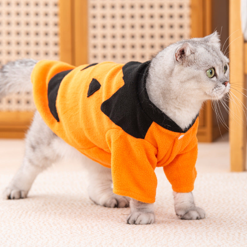 Cozy Pumpkin Halloween Costume for Cats & Small Dogs